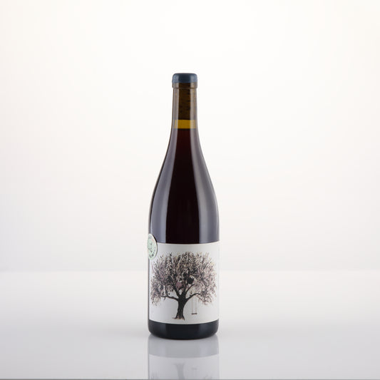 VINO DE ANNA VIGNA PIRAO ROSSO 2021